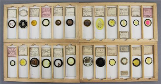 Two cases of late 19th/early 20th century microscope slides,